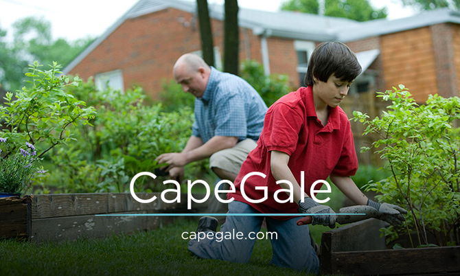 CapeGale.com