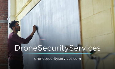 DroneSecurityServices.com - Creative brandable domain for sale