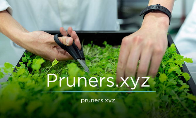Pruners.xyz