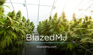 BlazedMJ.com - Creative brandable domain for sale