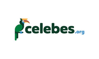 Celebes.org - Creative brandable domain for sale