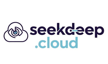 SeekDeep.cloud - Creative brandable domain for sale
