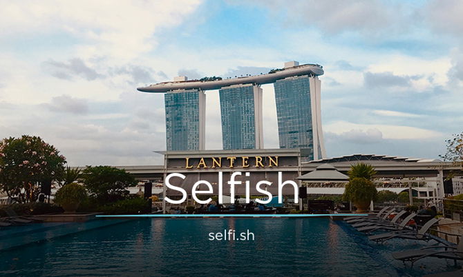 Selfi.sh