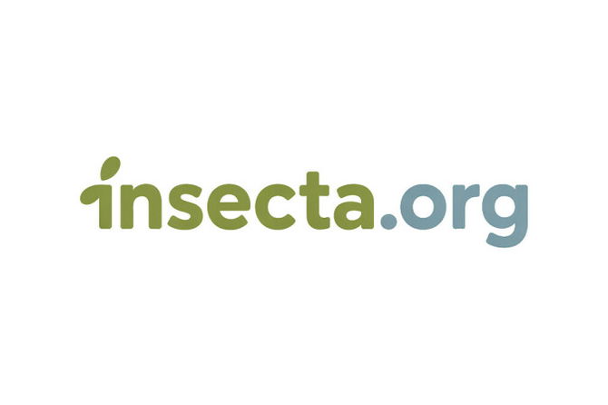 Insecta.org