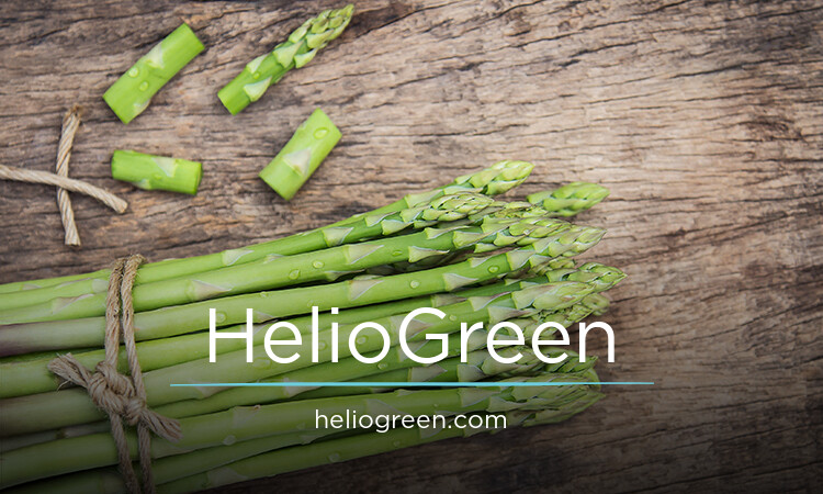 HelioGreen logo