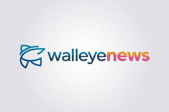 WalleyeNews.com - Creative brandable domain for sale