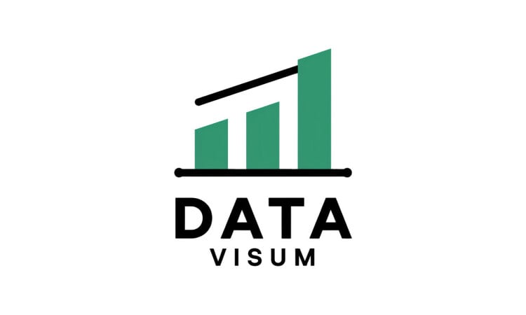 datavisum logo