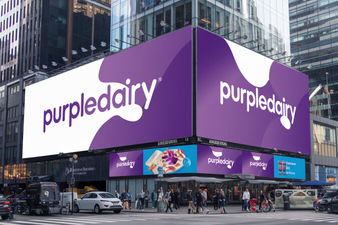 PurpleDairy.com - buy Catchy premium domains