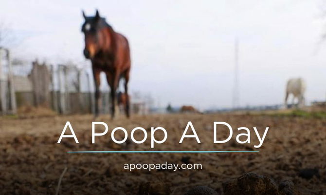 APoopADay.com